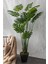Yapay Devetabanı(Monstera) Ağacı 200 cm 4