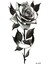 Siyah Gül Geçici Dövme Rose Tattoo 1