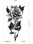 Siyah Gül Geçici Dövme Rose Tattoo 2
