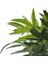 Yapay Bambu Demeti 55 cm 2