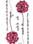 Yazılı Çiçek Dövmesi Minimal Flower Tattoo 1
