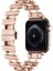 Apple Watch Ultra Ultra 2 49MM Redclick Krd-96 Metal Şerit Kordon 1