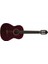 Valencıa VC204TWR 4/4 Mat Klasik Gitar 1
