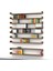 Book Duvar Raf Set Kafkas Meşe ( Mat ) 1