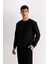 Regular Fit Bisiklet Yaka Jakarlı Sweatshirt D5394AX24AU 4