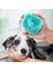 Petzz Hazneli Silikon Kedi ve Köpek Banyo Şampuan Fırçası Yeşil 8.4X6X8.4 cm - 6997963613436 1