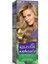 Naturals Saç Boyası Açık Küllü Kumral 8/1 - BRK6027-6106 1