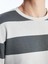 Lcw Casual Bisiklet Yaka Uzun Kollu Çizgili Erkek Sweatshirt 4