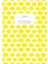 Hocco B5 Defter Limon Çizgili 1