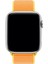Psgt apple Watch Gs Dt Pro T500 Ultra 3 4 5 6 7 8 9 Se 42 44 45 49 mm Kordon Kayış Bileklik Hasır Örgü 2
