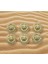 6 Adet 22 Mm (2.2 Cm) Aslan Desenli Gold Renk Trençkot Ve Blazer Ceket Düğmesi Seti Takımı 5