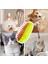 Buharlı Kedi & Köpek Tarağı Hazneli 5