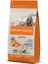 Natures Variety Norveç Somonlu Orta ve Büyük Irk Yetişkin Köpek Maması 2 kg - 241-927128 - Petshopundan 1
