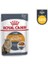 Beauty Gravy Kedi Konservesi 12 Adet 1