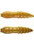 Kukolka Garlic(Sarımsak Aromalı) Coffee Milk 4.2 cm Suni Yem 1