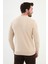 Desenli Bej Slim Fit Bisiklet Yaka Erkek Triko Kazak 3