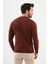 Çizgili Kiremit Rengi Slim Fit Bisiklet Yaka Erkek Triko Kazak 3