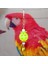 1 Adet Kırmızı Stil 1 Adet Papağan Oyuncakları Plastik Eğlenceli Evcil Kuş Papağan Tırmanma Isırma Çiğneme Asılı Salıncak Çan Top Kuş Etkileşimli Oyuncak Evcil Hayvan Malzemeleri (Yurt Dışından) 3