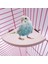 L 17X17CM Stili Fan Şekilli Kuş Papağan Ahşap Stand Raf Kuş Kafesi Aksesuarı Devekuşu Için Perçin Küçük Hayvan Sincap Hamster Standı Kurulu (Yurt Dışından) 3