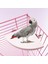 L 17X17CM Stili Fan Şekilli Kuş Papağan Ahşap Stand Raf Kuş Kafesi Aksesuarı Devekuşu Için Perçin Küçük Hayvan Sincap Hamster Standı Kurulu (Yurt Dışından) 4