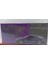 Dianomi Mini Gt 1:64 Nissan Skyline Gt-R Tommykaira R-Z Midnight Purple 4