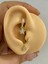 Arescollection 1 Adet Zirkon Taşlı Yıldız Sallantılı Tragus Rook Uyumlu Minimal Halka Piercing Küpe 1