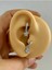 Arescollection 1 Adet Zirkon Taşlı Yıldız Sallantılı Tragus Rook Uyumlu Minimal Halka Piercing Küpe 2