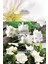 Premiere Lux Kadın Parfüm EDP İkili Set 50 ml 3