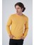 Erkek Sarı Pamuklu Bisiklet Yaka Triko Kazak TRIST-1101 1