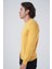 Erkek Sarı Pamuklu Bisiklet Yaka Triko Kazak TRIST-1101 2