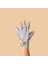 New York Collagen Gloves Kolajen Eldiven Argan 2