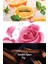 Lov U Connected Kadın Vücut Losyonu 125 ml. Ikili Set 4