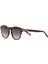 Cr 80029 C2 Oval Havana Erkek Güneş Gözlüğü 1