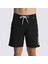 The Daıly Solıd Boardshort Erkek Mayo 4