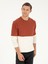 Erkek Kiremit Slim Fit Bisiklet Yaka Baklava Desenli Triko Kazak 50292568-VR031 1