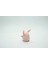 Wigglytuff Pokemon 3D Model 3