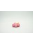 Exeggcute Pokemon 3D Model 2