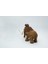 Mamut 3D Hareketli Model Büyük Boy 1
