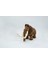 Mamut 3D Hareketli Model Büyük Boy 3
