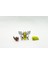 Weedle - Kakuna - Beedrill Pokemon 3D Model Evrim 3lü Tüm Set 1