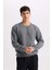 Gri Regular Fit Bisiklet Yaka Jakarlı Sweatshirt D5392AX24AU 4