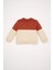 Erkek Bebek Bisiklet Yaka Renk Bloklu İçi Yumuşak Tüylü Sweatshirt D6230A5NS 5