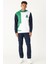 Erkek Beyaz-yeşil Standart Fit Normal Kesim Kapüşonlu Pamuklu Çizgili Sweatshirt 5