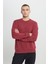 Standart Fit Normal Kesim Bisiklet Yaka Pamuklu Sweatshirt 4