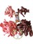 Doğum Günü Konsepti *makaron Pembe*rosewood* 100 Lü Balon Zinciri Parti Seti 3