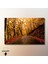 Tekli Yatay Kanvas Duvar Tablosu Sonbahar ve Ormanlık Yol 3