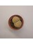 Lithops Taş Kaktüs 5,5lik Saksı 1