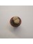 Lithops Taş Kaktüs 5,5lik Saksı 3