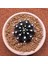 Yağmur Kaktüs Gymnocalycium Mihanovichii 7 cm Boyutunda Özel Tür Kaktüs 1