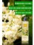 Thera Style Therastyle Moringa Body Mist 200ML 3